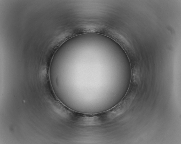 X0000111130314200906301215