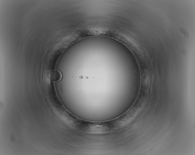 X0000111130315200906301215