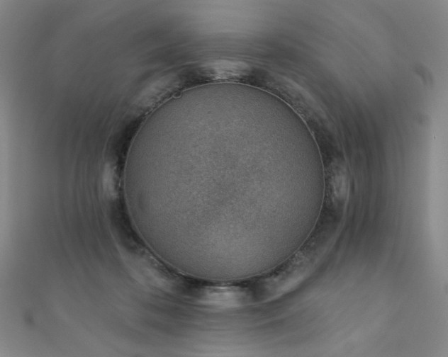 X0000111130316200906301215