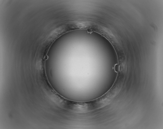X0000111130317200906301215