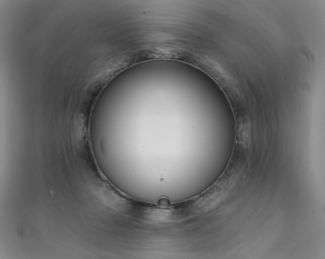 X0000111130318200906301215