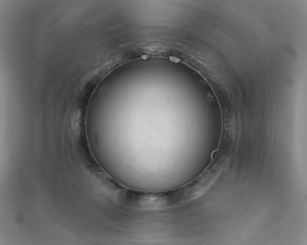X0000111130319200906301215