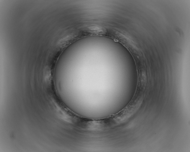 X0000111130320200906301215