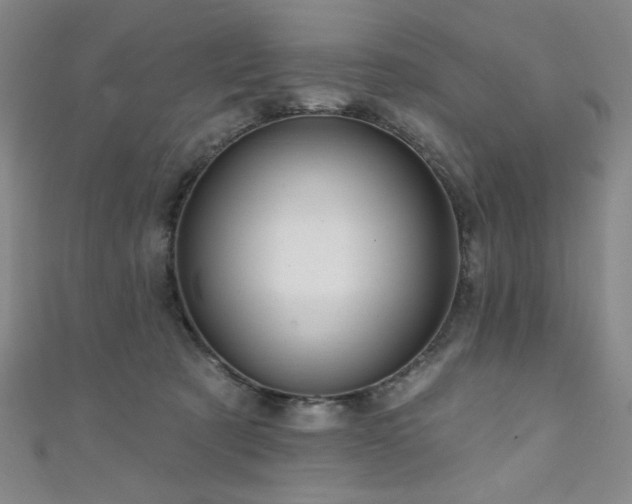 X0000111130321200906301215