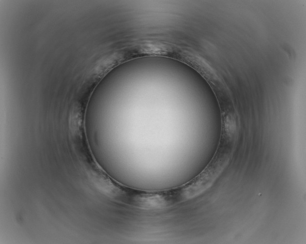 X0000111130322200906301215