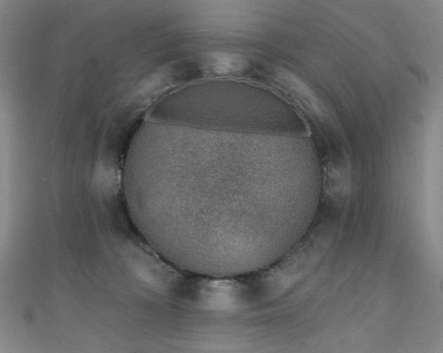 X0000111130324200906301215