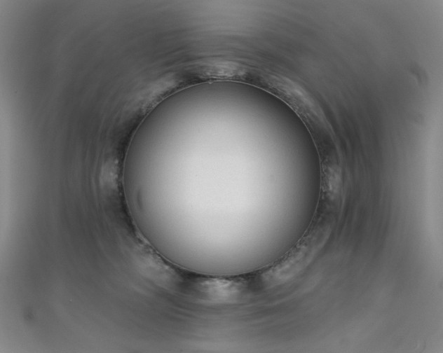 X0000111130326200906301215
