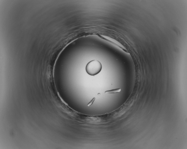 X0000111130328200906301215