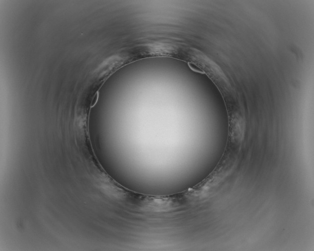X0000111130329200906301215