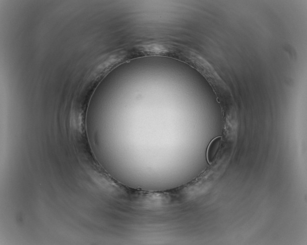 X0000111130330200906301215