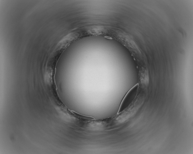 X0000111130332200906301215