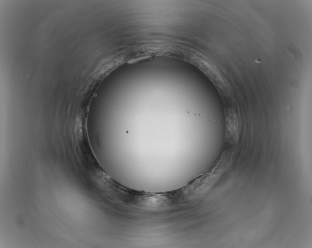 X0000111130333200906301215