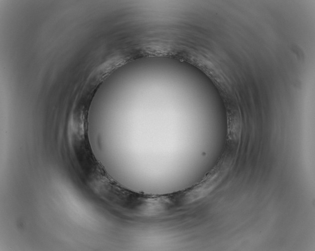 X0000111130334200906301215