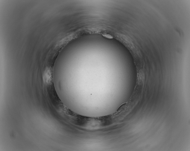 X0000111130335200906301215