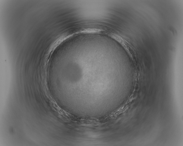 X0000111130337200906301214