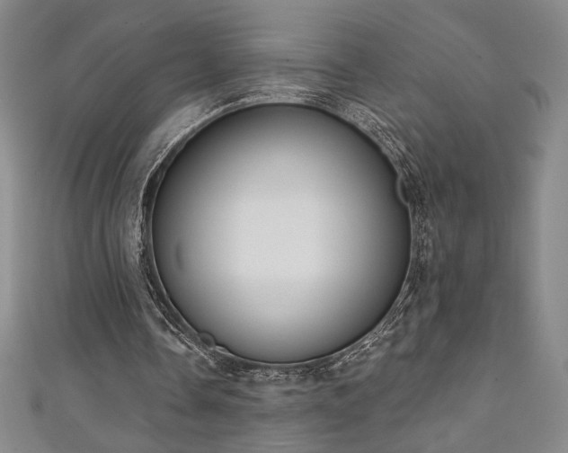 X0000111130338200906301214