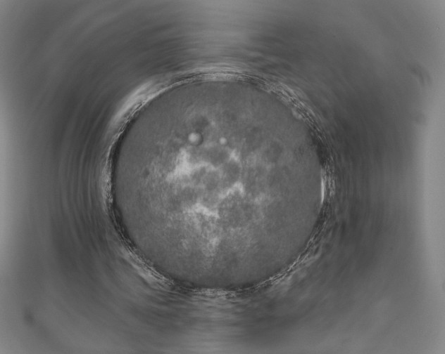 X0000111130339200906301214
