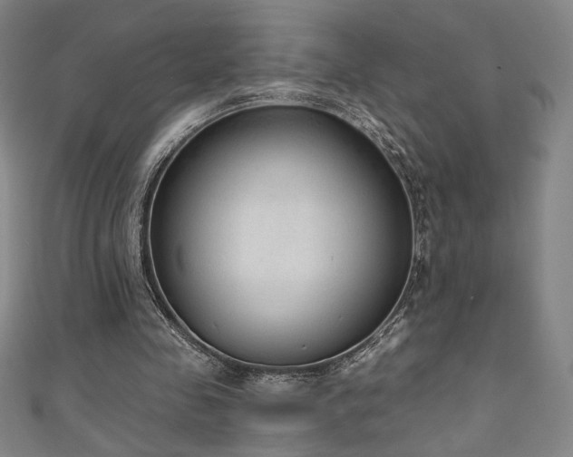 X0000111130341200906301214