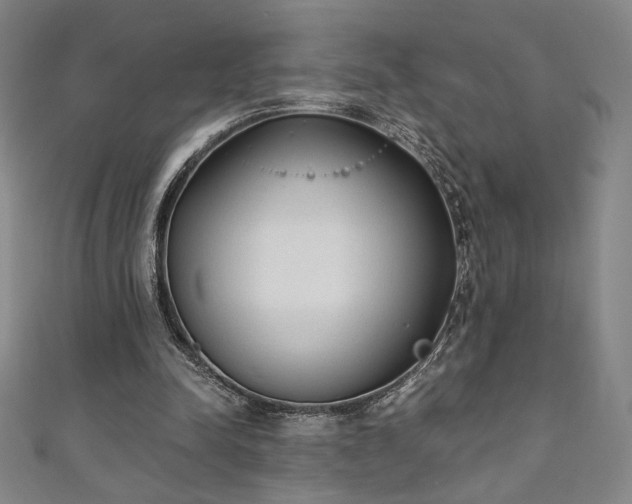 X0000111130342200906301214