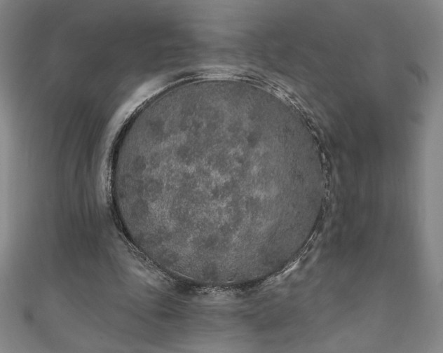X0000111130343200906301214