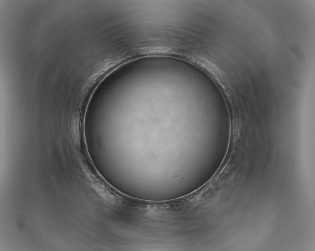 X0000111130345200906301215