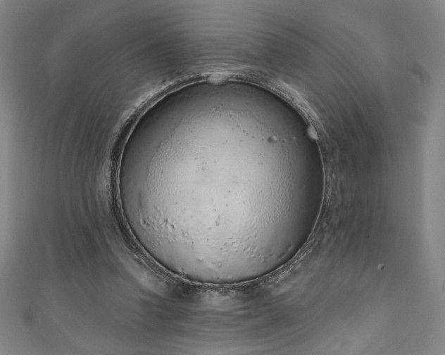 X0000111130346200906301215