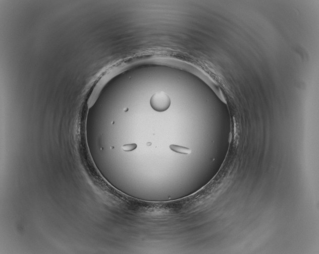 X0000111130348200906301215