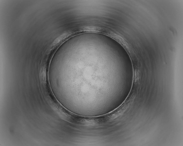X0000111130349200906301215
