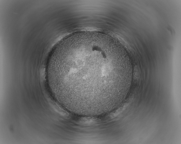 X0000111130351200906301215