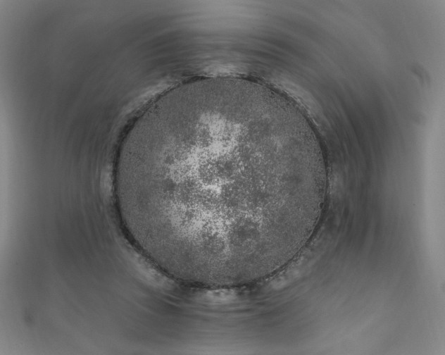 X0000111130353200906301215