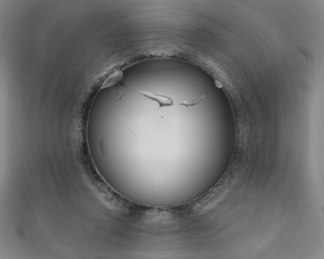 X0000111130354200906301215