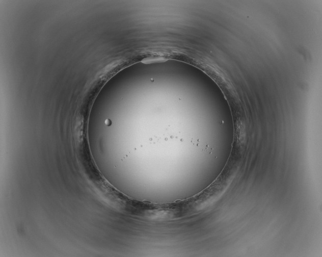 X0000111130356200906301215