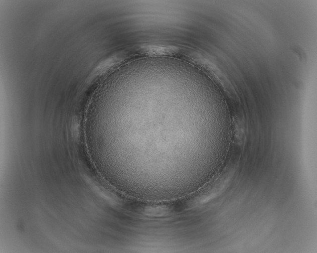X0000111130357200906301215