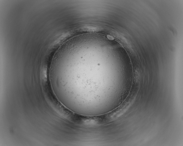 X0000111130358200906301215