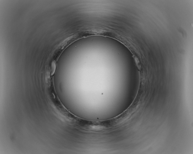 X0000111130360200906301215