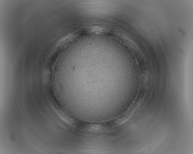 X0000111130361200906301215