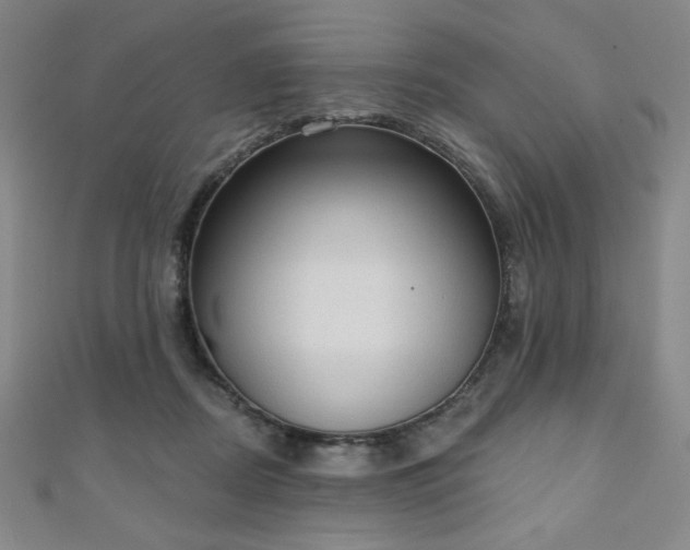 X0000111130362200906301215