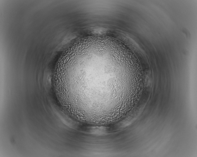 X0000111130363200906301215