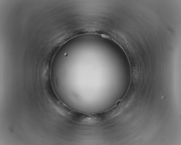 X0000111130364200906301215