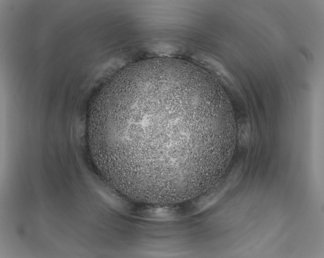 X0000111130365200906301215