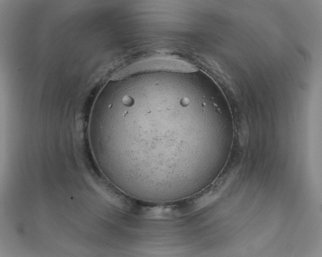X0000111130366200906301215