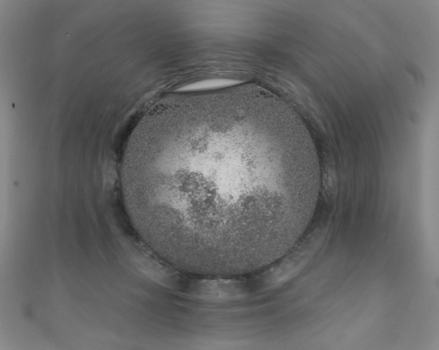 X0000111130367200906301215