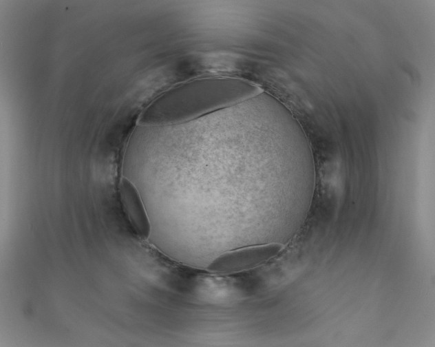 X0000111130372200906301215