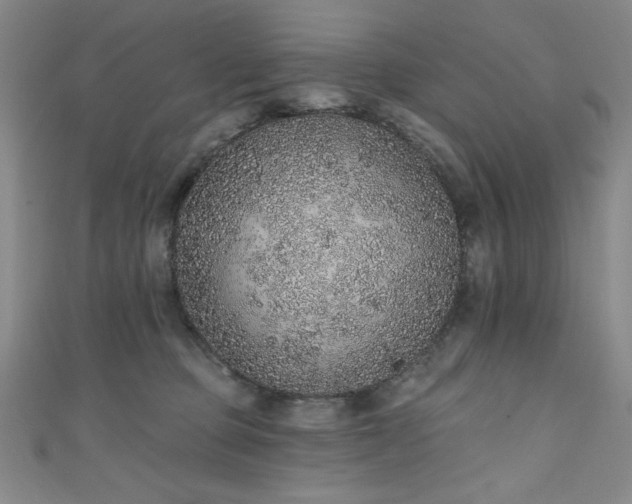 X0000111130373200906301215