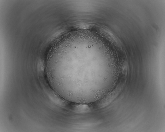 X0000111130374200906301215