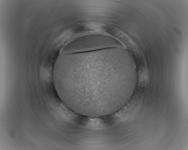X0000111130376200906301215