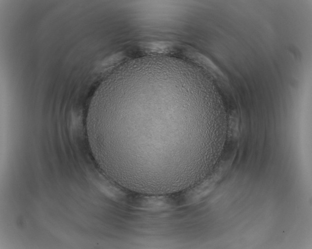X0000111130377200906301215