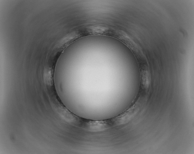 X0000111130378200906301215