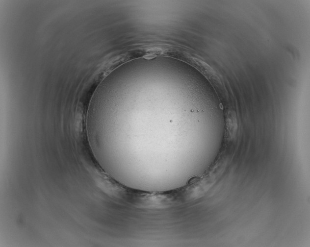 X0000111130379200906301215