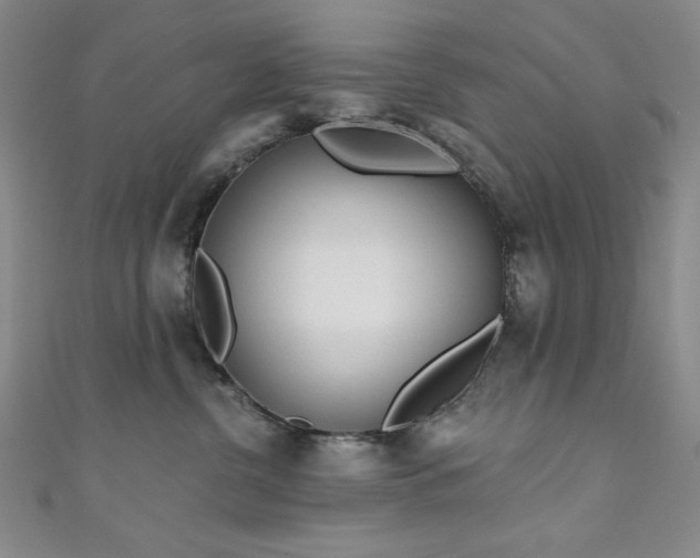X0000111130380200906301215
